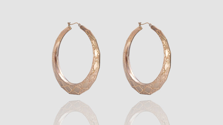 10K Gold Embroidery Hoop Earrings